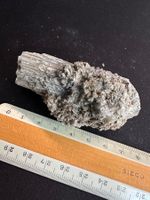Stangen-Quarz Mineral Sammlerstück