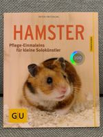 Hamster-Ratgeber: Tipps & Tricks für die Hamster-Haltung