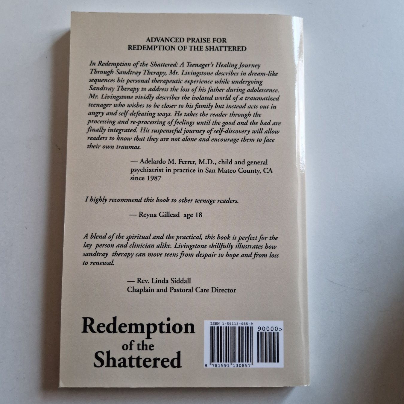Bücher: Redemption of the Shattered – Neu (gemäss Beschreibung) aus Rüti ZH von Gigelisuppe 1