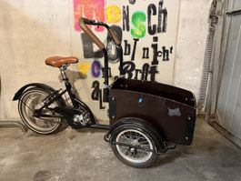 Allegro Kinder-Cargobike Für kleine Hipster! 🚲✨
