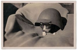 Sturmangriff, Kätzchen unter Helm Feldpost 1928 THUN KASERNE