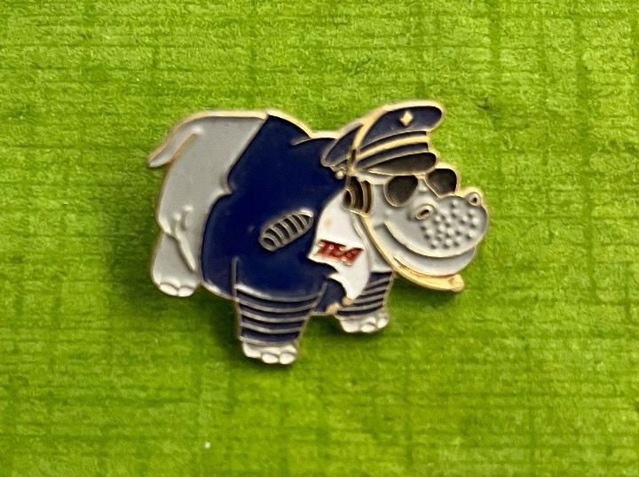 Placchette & Badge: Flugzeug TEA Pin – Usato da Itingen venduto da Bebbi6569