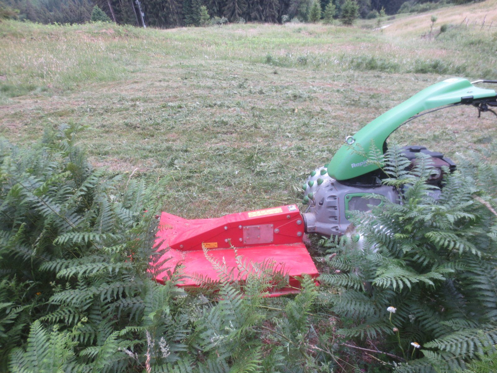 Toutes les machines: Rapid Mulcher – D'occasion à Guggisberg par Zorro120 3