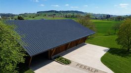 Trapezblech/ Holzabdeckung/ Scheunendach