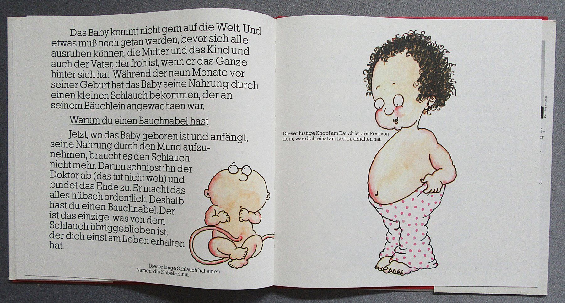 Bücher: von  Dr. Thaddäus Troll - Wo komm' ich eigentlich her ? – Gebraucht aus Auenstein von Padabimbim 8