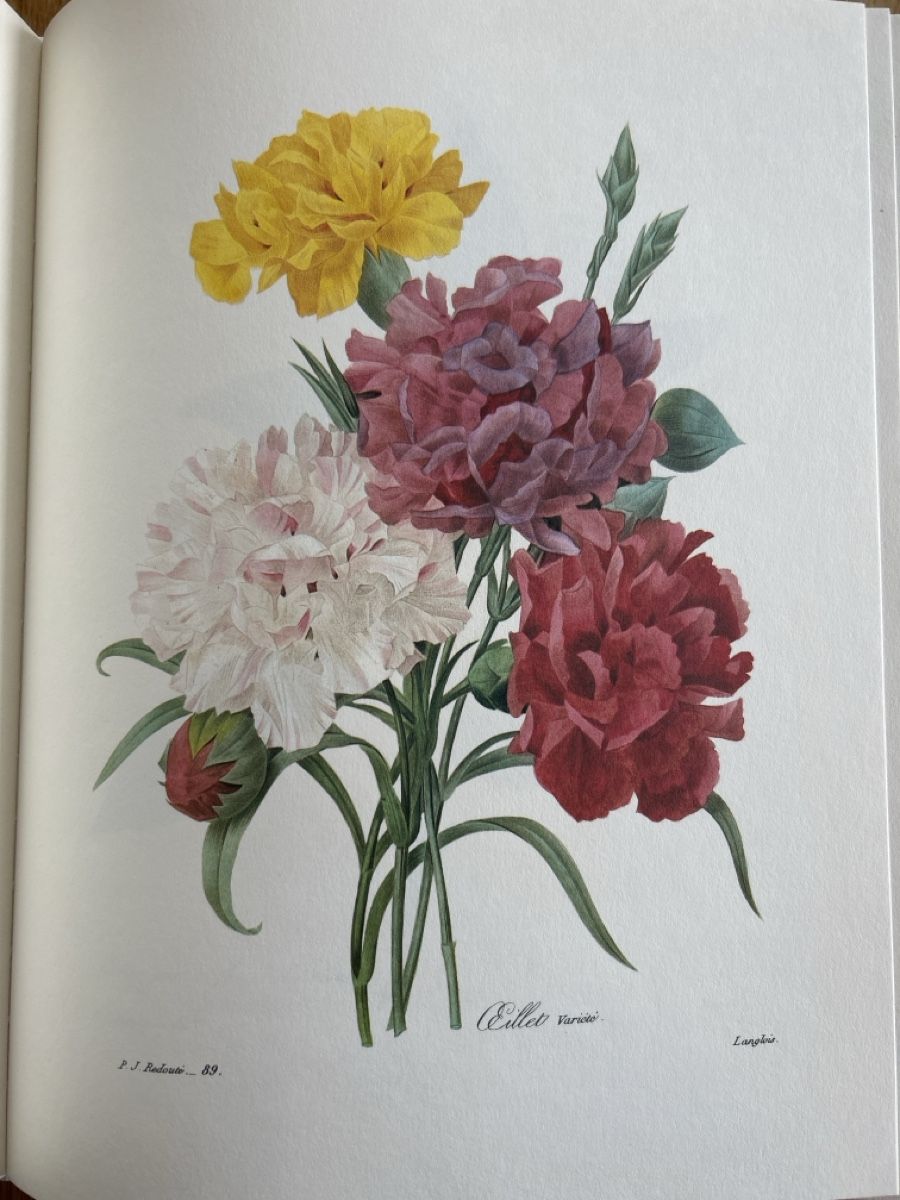 Bücher: Die schönsten Blumen und Früchte – Gebraucht aus Uffikon von Frosch1506 3