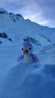 Gehäkelter Pinguin 