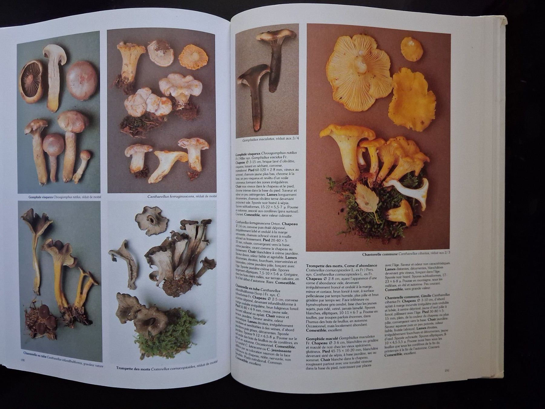 Libri: Livre "Les champignons" Roger Phillips - 1981 – Usato da Cartigny venduto da pgc_fk9s 6