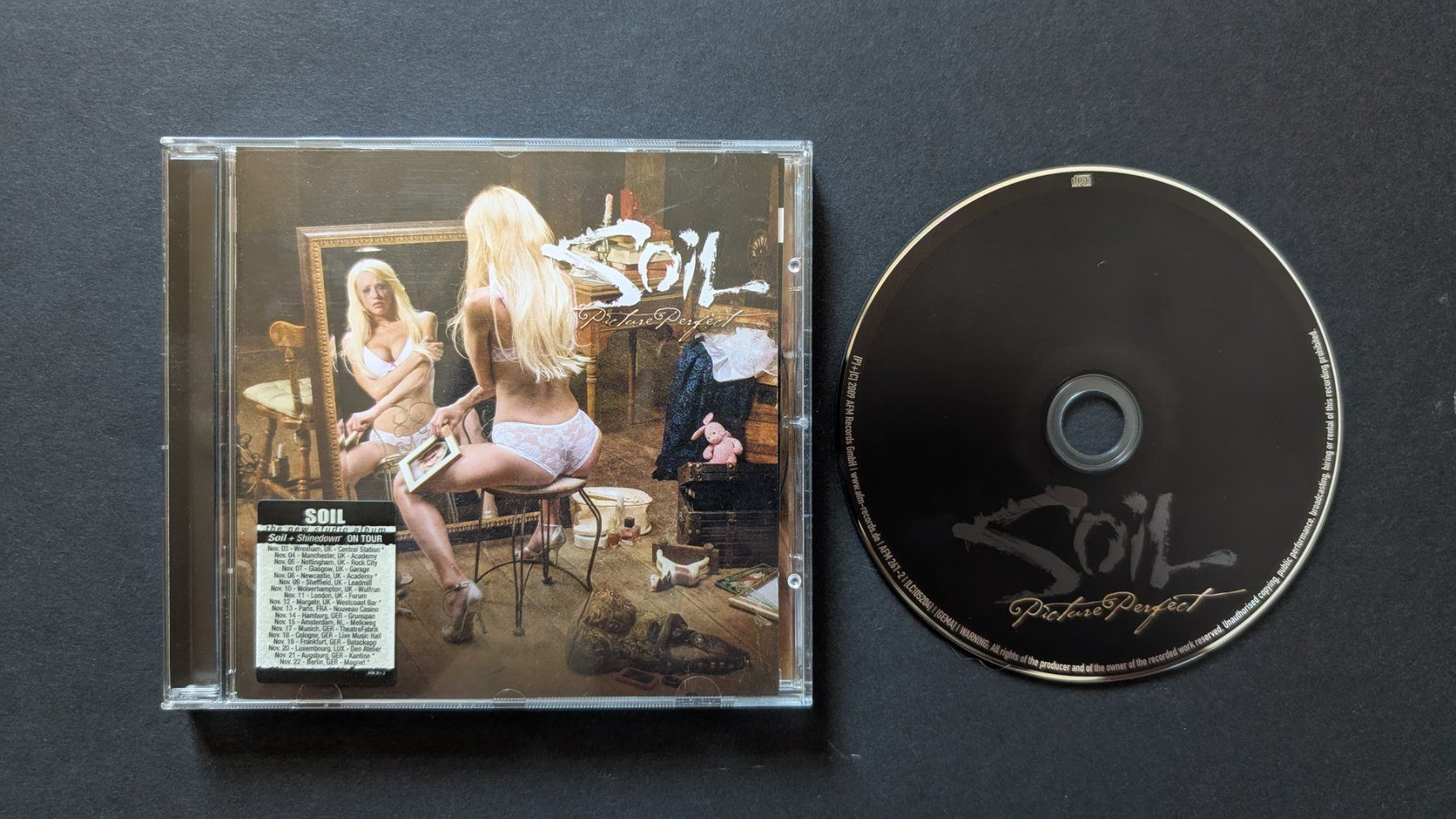 CDs: Soil | Picture Perfect | CD – Gebraucht aus Bottmingen von dan_c5wb