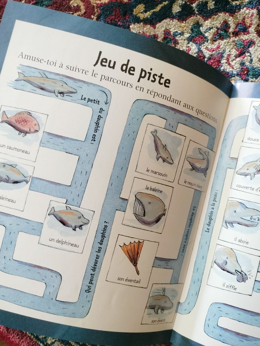 Libri: Le Dauphin Mymi Doinet Nathan – Usato da Cortaillod venduto da rozinna 9