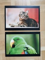2 Grusskarten Tiere (neu)