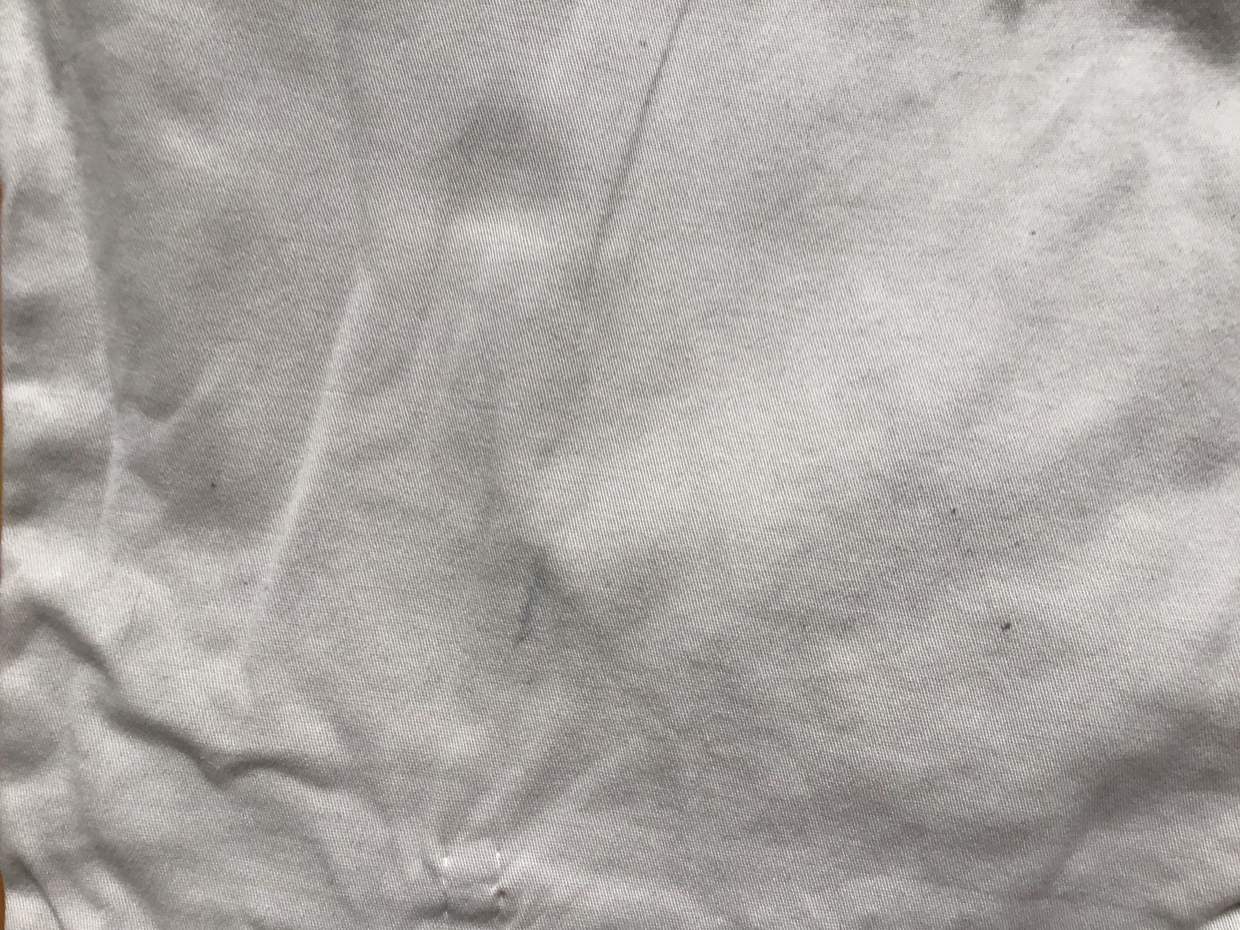 Pantaloni: Shorts, kurze Hose Damen Gr. 46 – Usato da Trimbach venduto da Lexli11 2