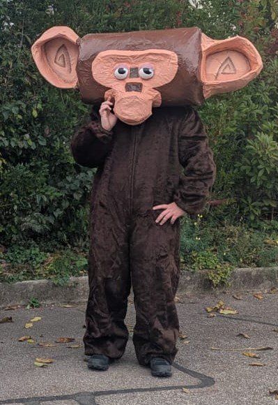 Costumi: Affe " Phil" aus Madagascar Fasnachtskostüm – Usato da Gerlafingen venduto da Remo96
