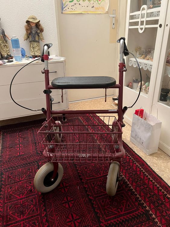 Rollator mit Körbchen | Kaufen auf Ricardo