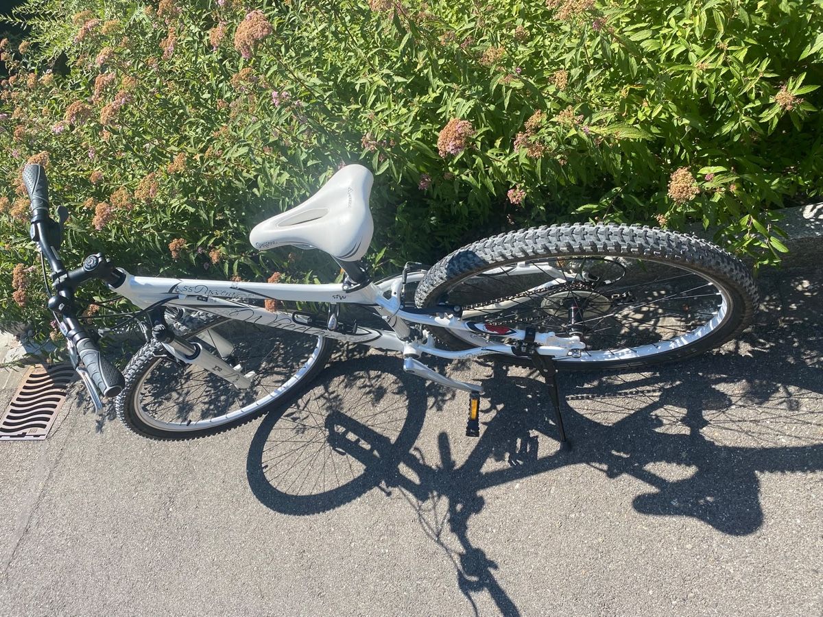 Velos: Damenmountenbike  – Gebraucht aus Reinach BL von chr_k6pm 3