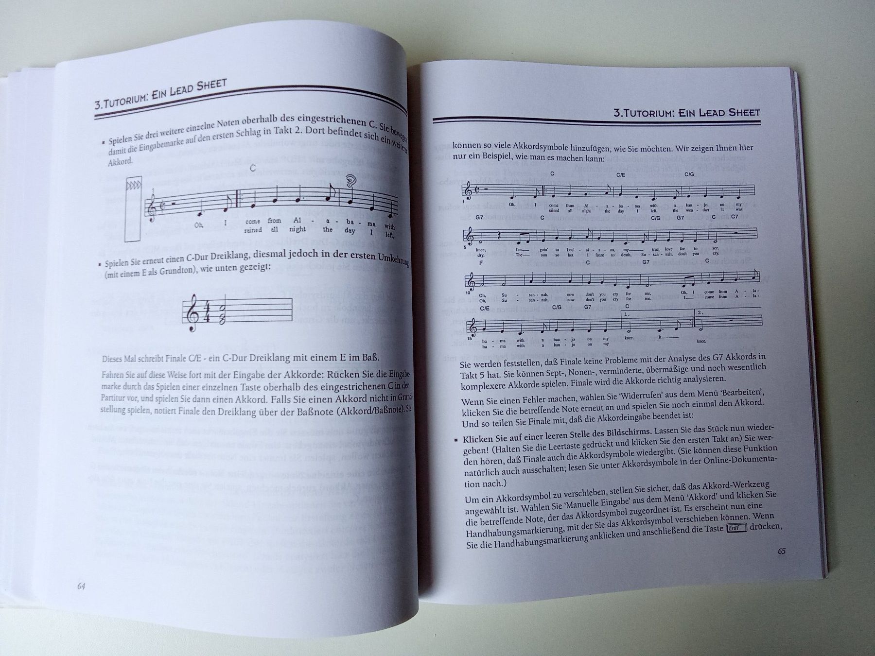 Libri: FINALE 2000 - Tutorien und Installation für Windows – Usato da Bilten venduto da Bora3 6