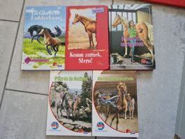 5 Pony Club Bücher