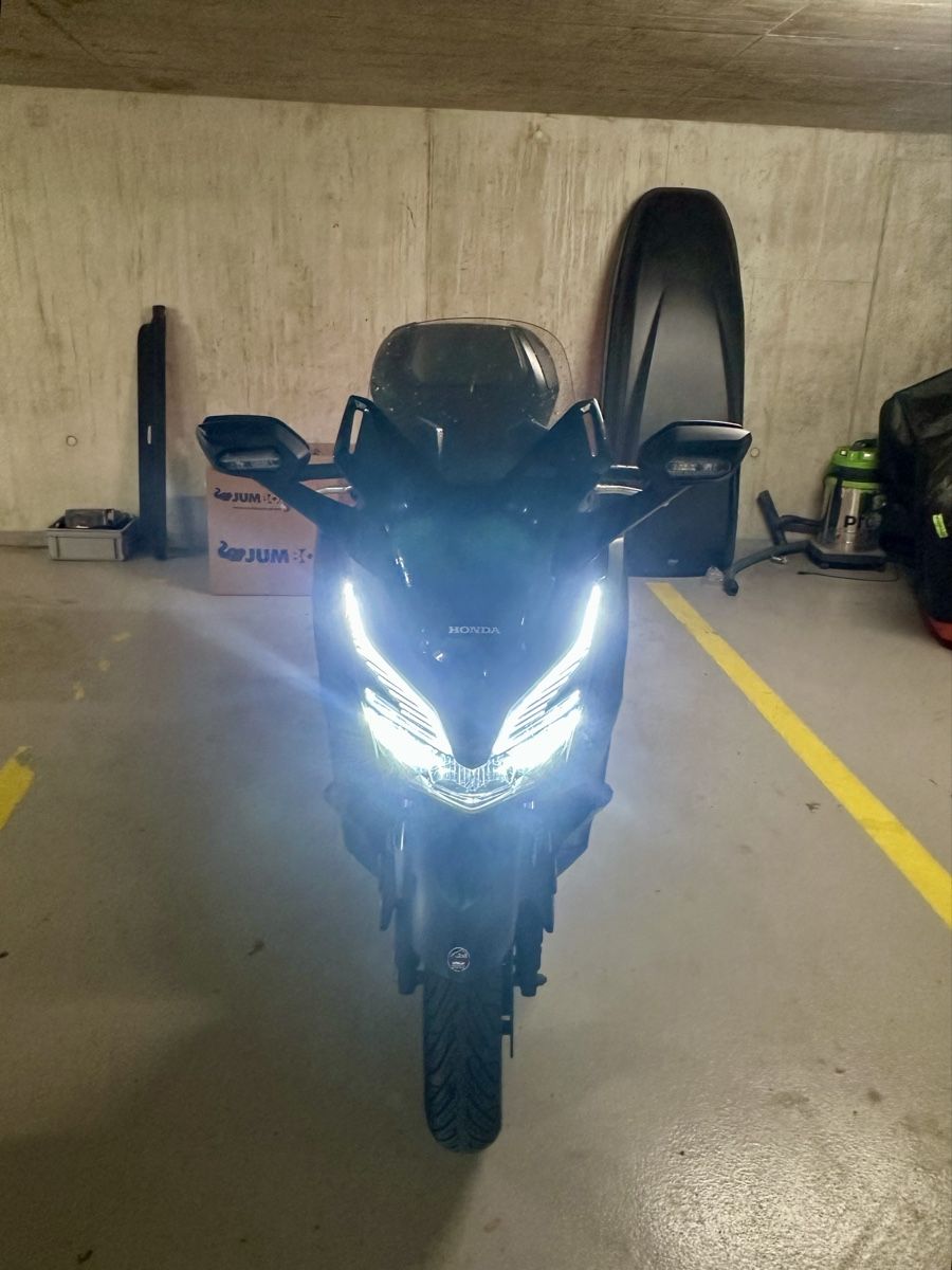Honda Scooter: Honda Forza 125 – Usato da Vionnaz venduto da alb_hnr9 1