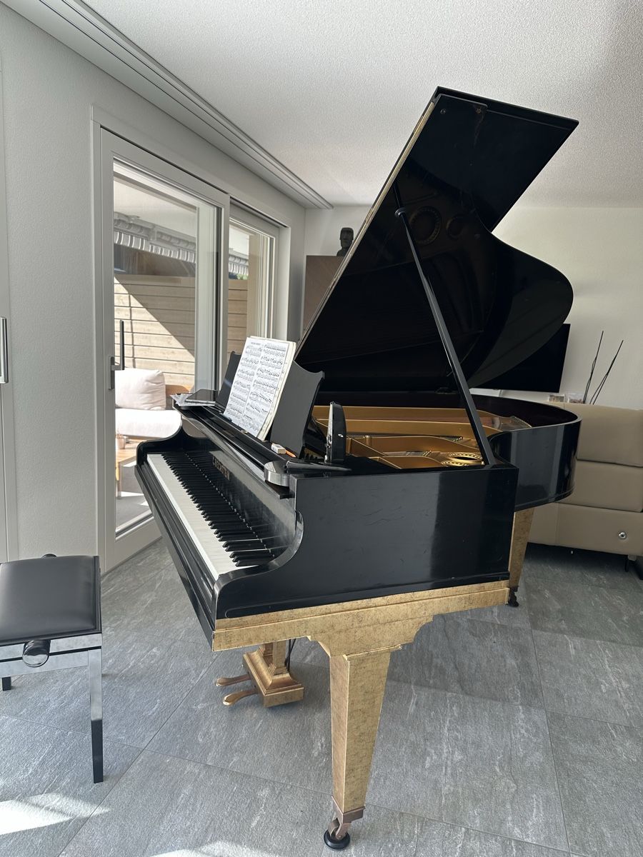 Strumenti musicali: C Bechstein Flügel 1,60m  – Usato da Kandergrund venduto da eva_92rg 1