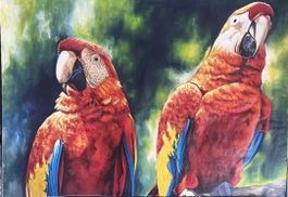 Original-Ölgemälde "Rote Aras" aus Havanna (103x73cm)