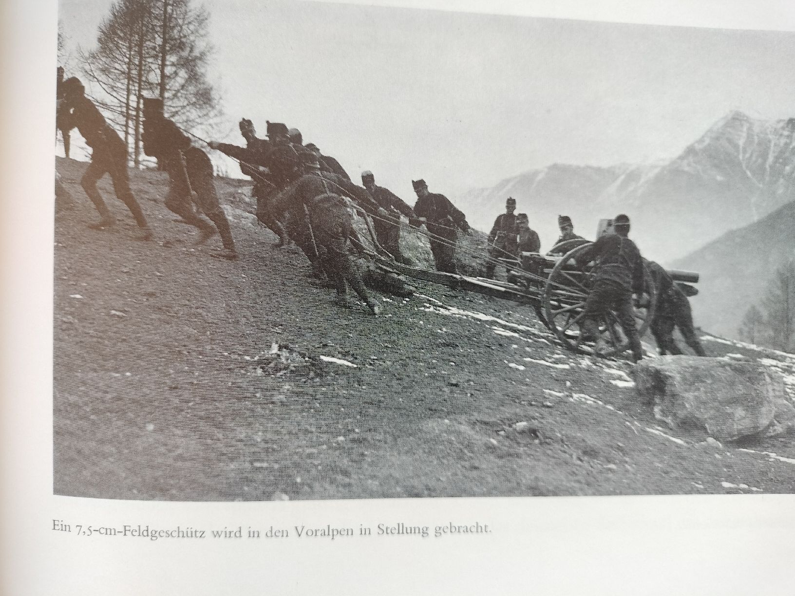 Libri: Schweizer Armee Militär Buch von 1970 – Usato da Schwanden Sigrisw venduto da pho_2mc9 7