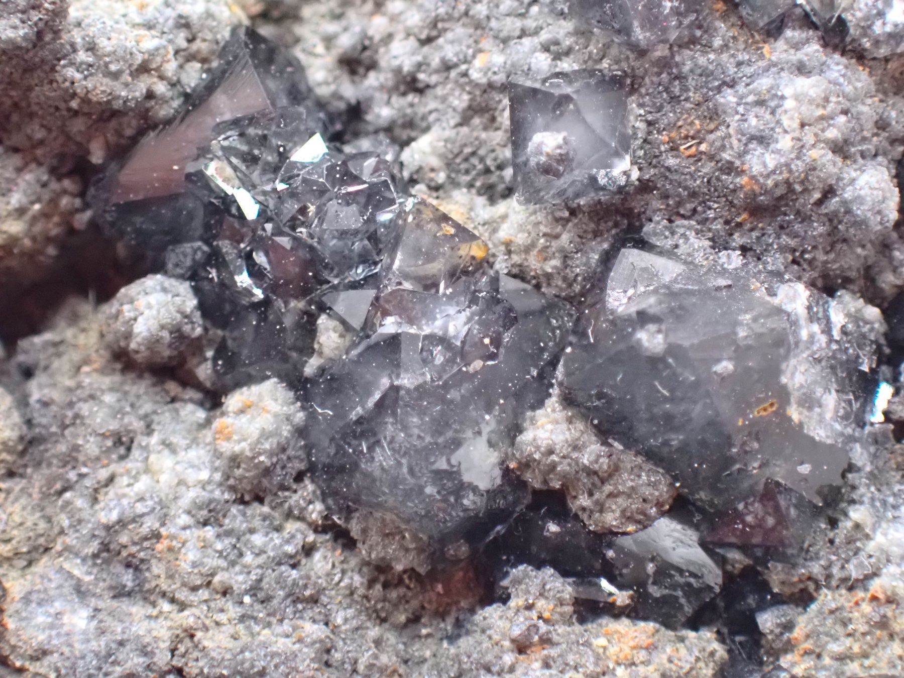 Minerali & Pietre curative: RaRe Black Quartz, Emilia-Romagna, Italy – Usato da Figino venduto da panshop 5