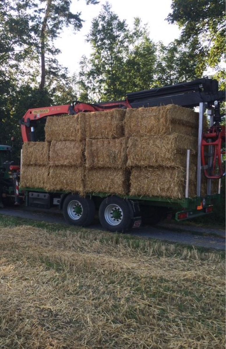 Palfinger Kräne: Kranwagen – Gebraucht aus Haag von sennisch 3