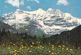 Blick auf Büttlassen Gspaltenhorn Im Kiental