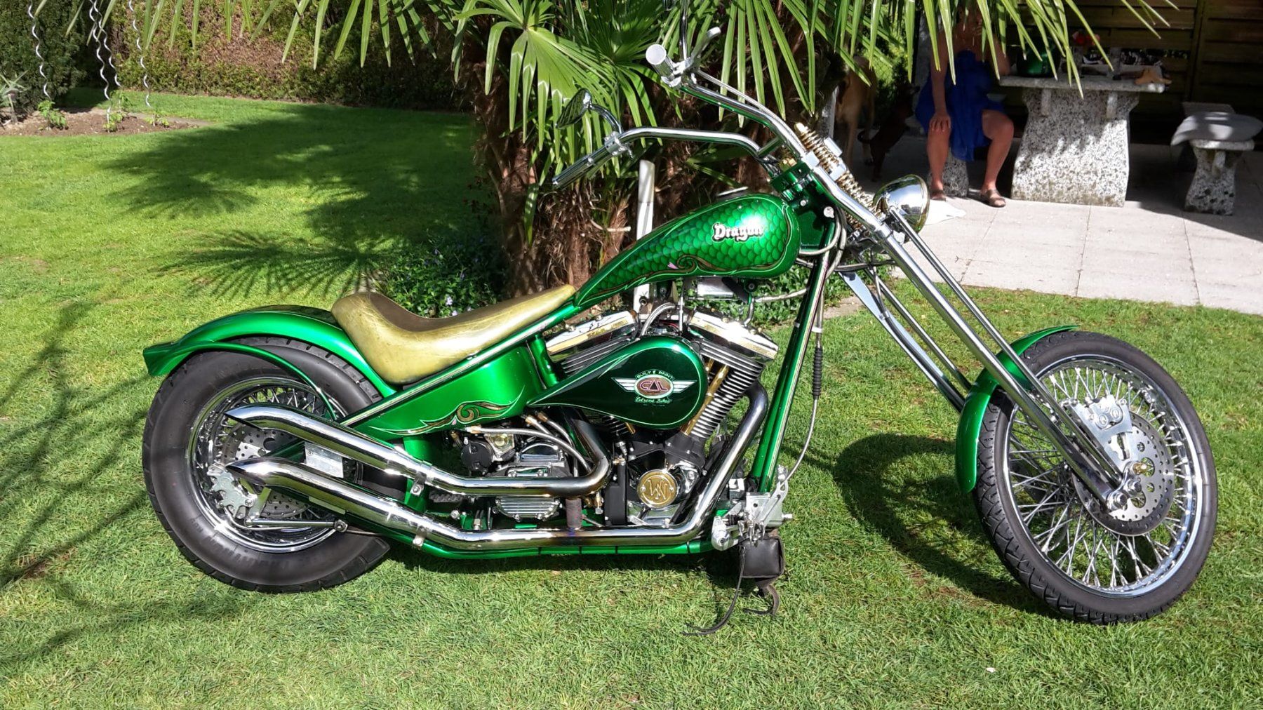 Cruisers: Harley Davidson, MWH Custom Chopper – D'occasion à Breitenbach par gar_vg29