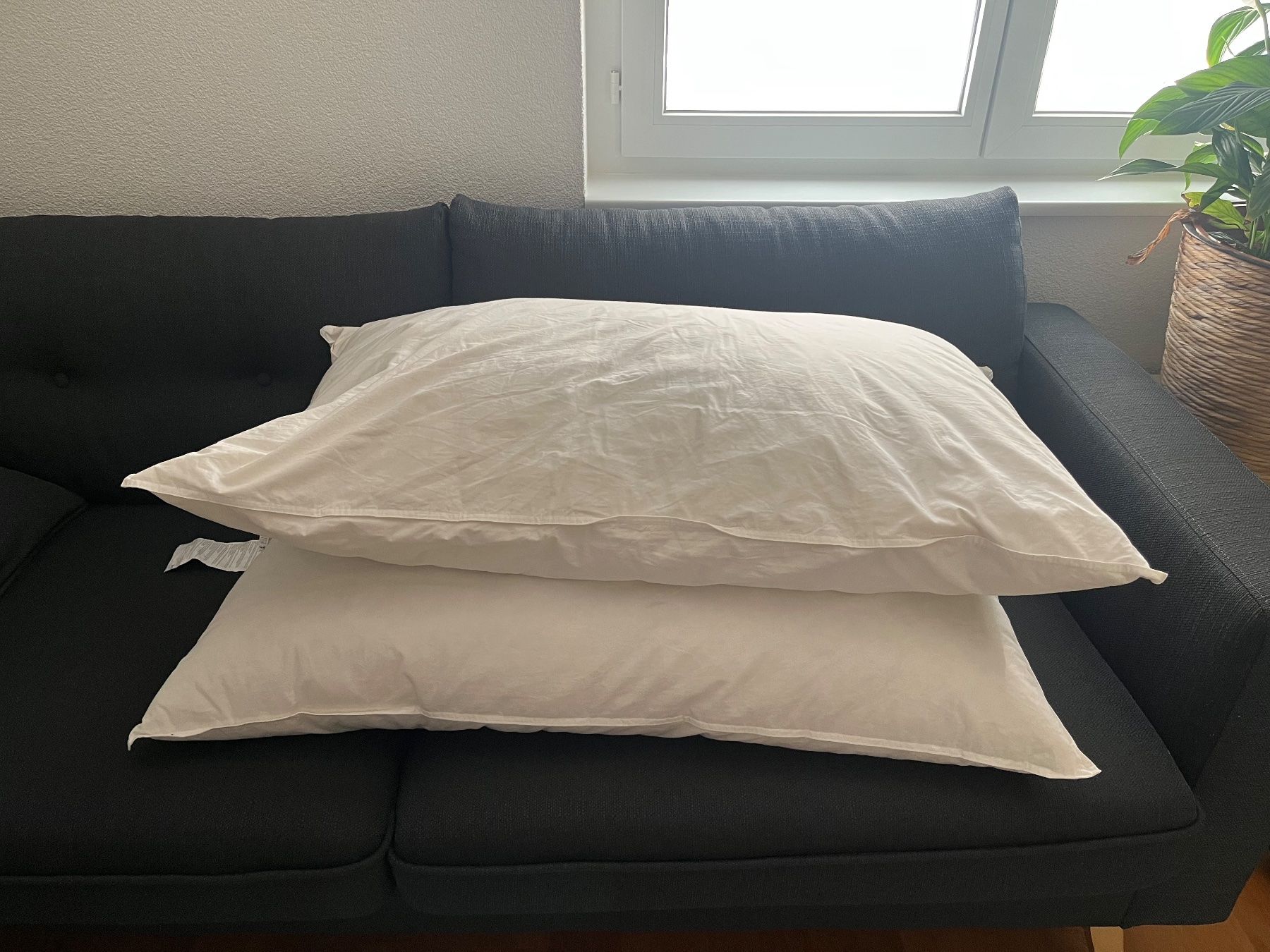 2x IKEA Kopf-Kissen Axlobelia 65x 100 cm neu (Neu (gemäss Beschreibung)) in Fläsch für CHF 15 – nur Abholung auf Ricardo kaufen