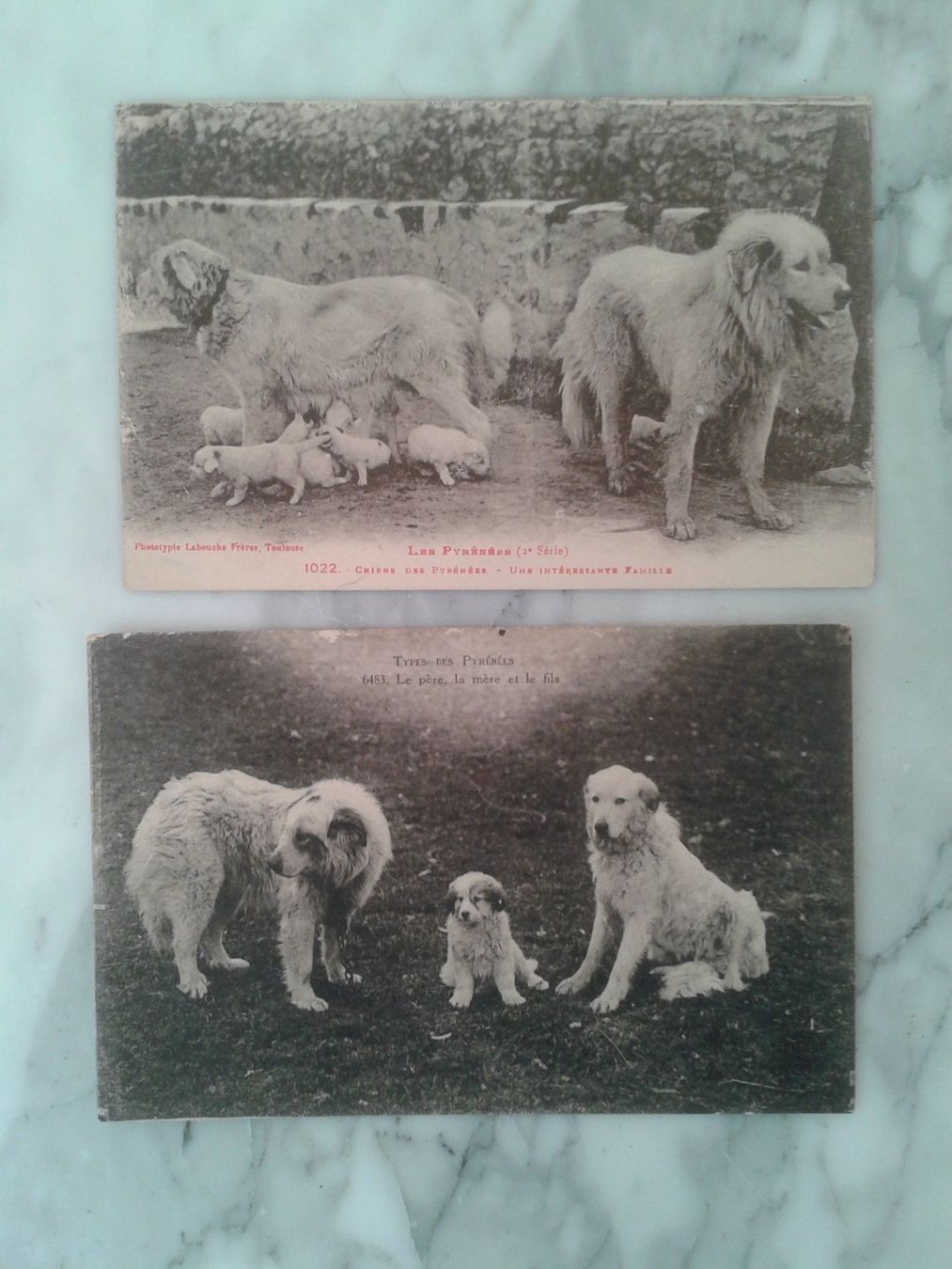 Cartoline postali: 3 alte Postkarten 1922/1934 Hunde Frankreich – Usato da Camorino venduto da Campellino 5