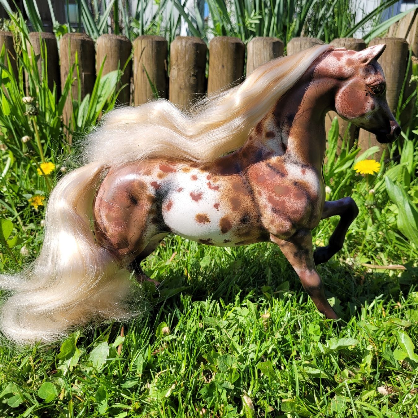 Giocattoli: Barbie Pferd Savanna Repaint/Unikat – Usato da Niederbuchsiten venduto da klengyel 2
