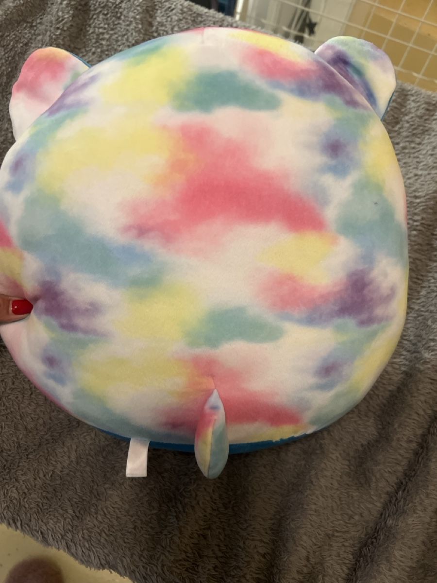 Squishmallows Spielzeuge: Squishmallows Plüschtier – Gebraucht aus Laufen von Nachlasverkauf 1