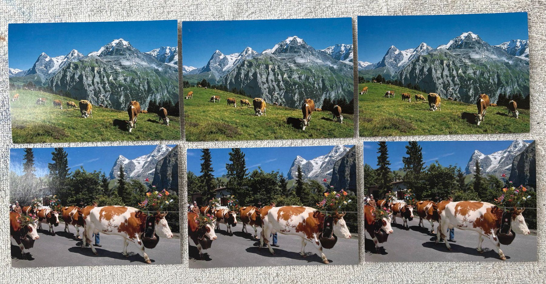 Cartoline postali: LOT ANSICHTSKARTEN KÜHE – Usato da Ostermundigen venduto da crazy-horse-1840