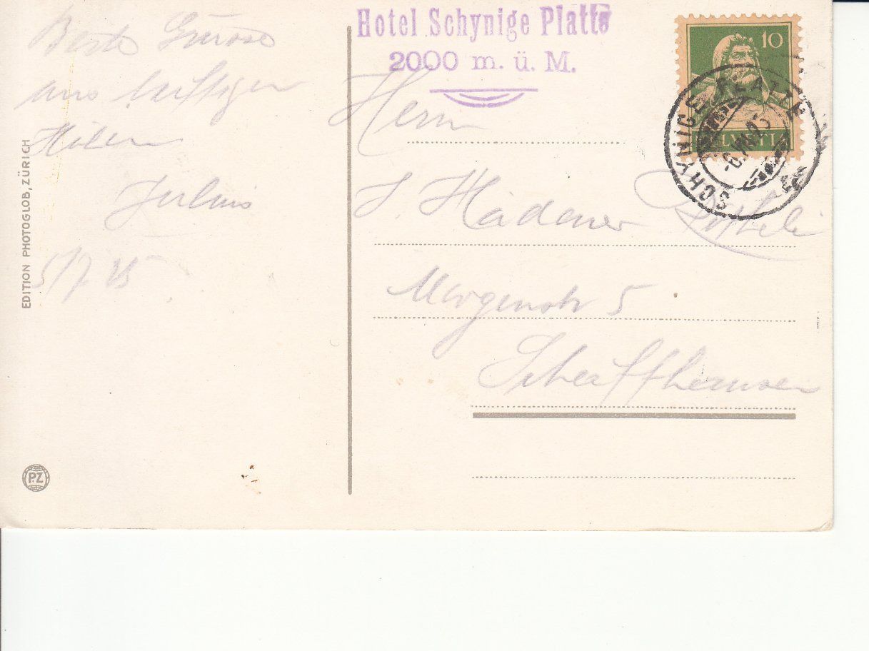 Cartoline postali: Schynige Platte 1925, mit Hotelstempel – Usato da Bürglen TG venduto da StampGraf 1