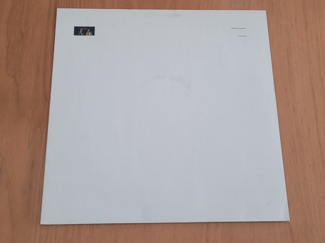 Schallplatten: Maxi  Pet Shop Boys – Gebraucht aus Martigny von MZ-67