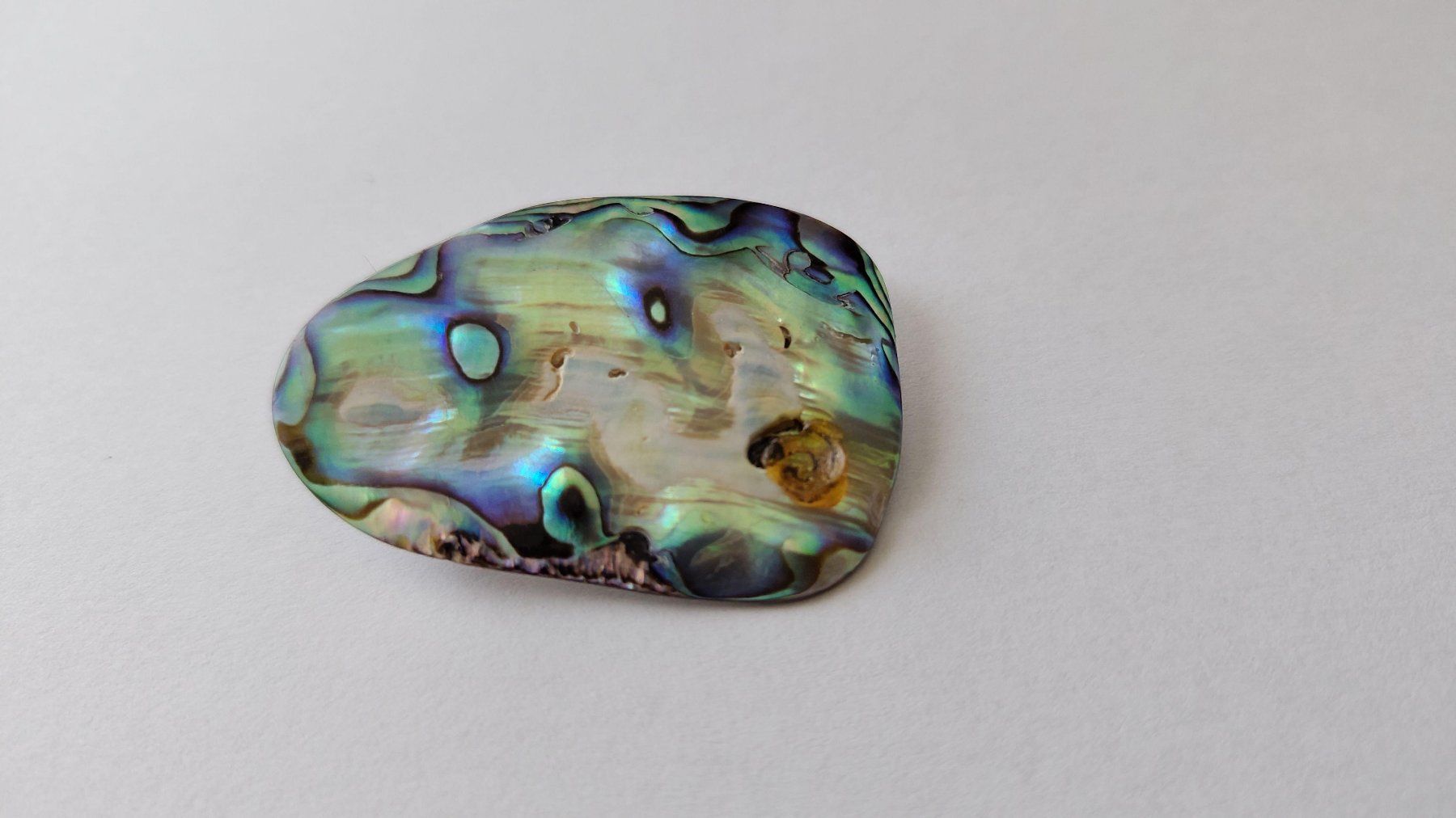 Broschen & Nadeln: Paua Muschel Brosche, 5 x 3.5cm – Gebraucht aus Ballwil von bom_ar 1