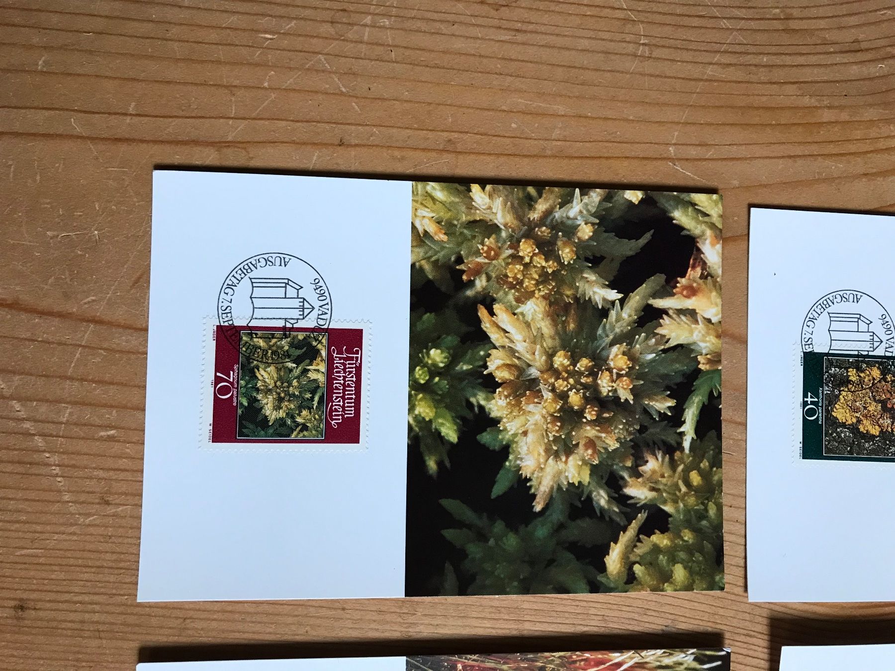 Tutti i francobolli: briefmarken FL 4 postkarten 7.9.1981 – Usato da liestal venduto da makai05 3