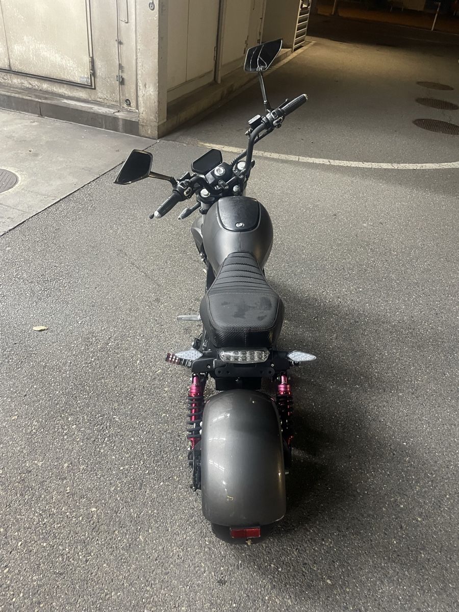 Züriflizzer Elektromobile: City Max RR  – Gebraucht aus Uster von dominic2002 1