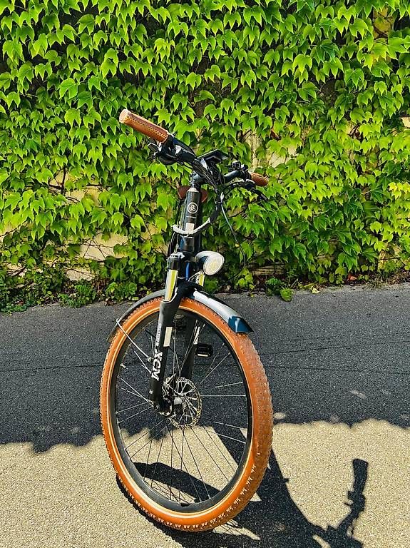Ego Movement Vélos: E-Bike Ego Movement TARZAN – D'occasion à Dietikon par 00conci00 1