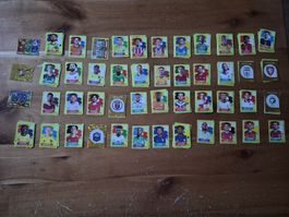 panini Bilder