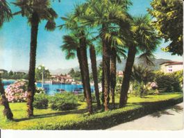 Locarno 1961