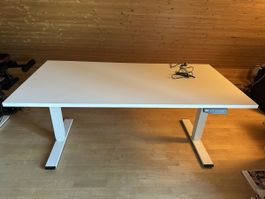 Electric Standing Desk White Height Adjustable