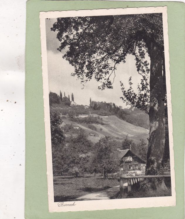 Berneck Kaufen auf Ricardo