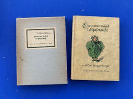 Huggenberger: Chom mer wänd i d' Haselnuß! Bilder Kreidolf