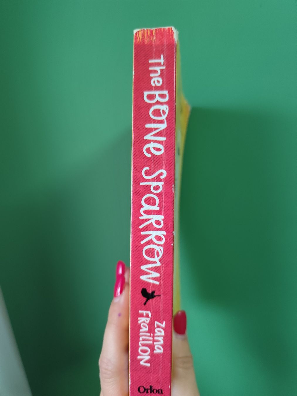 Libri: Fraillon The Bone Sparrow Book - Kids Summer Read – Usato da Mägenwil venduto da VintageGirly 3