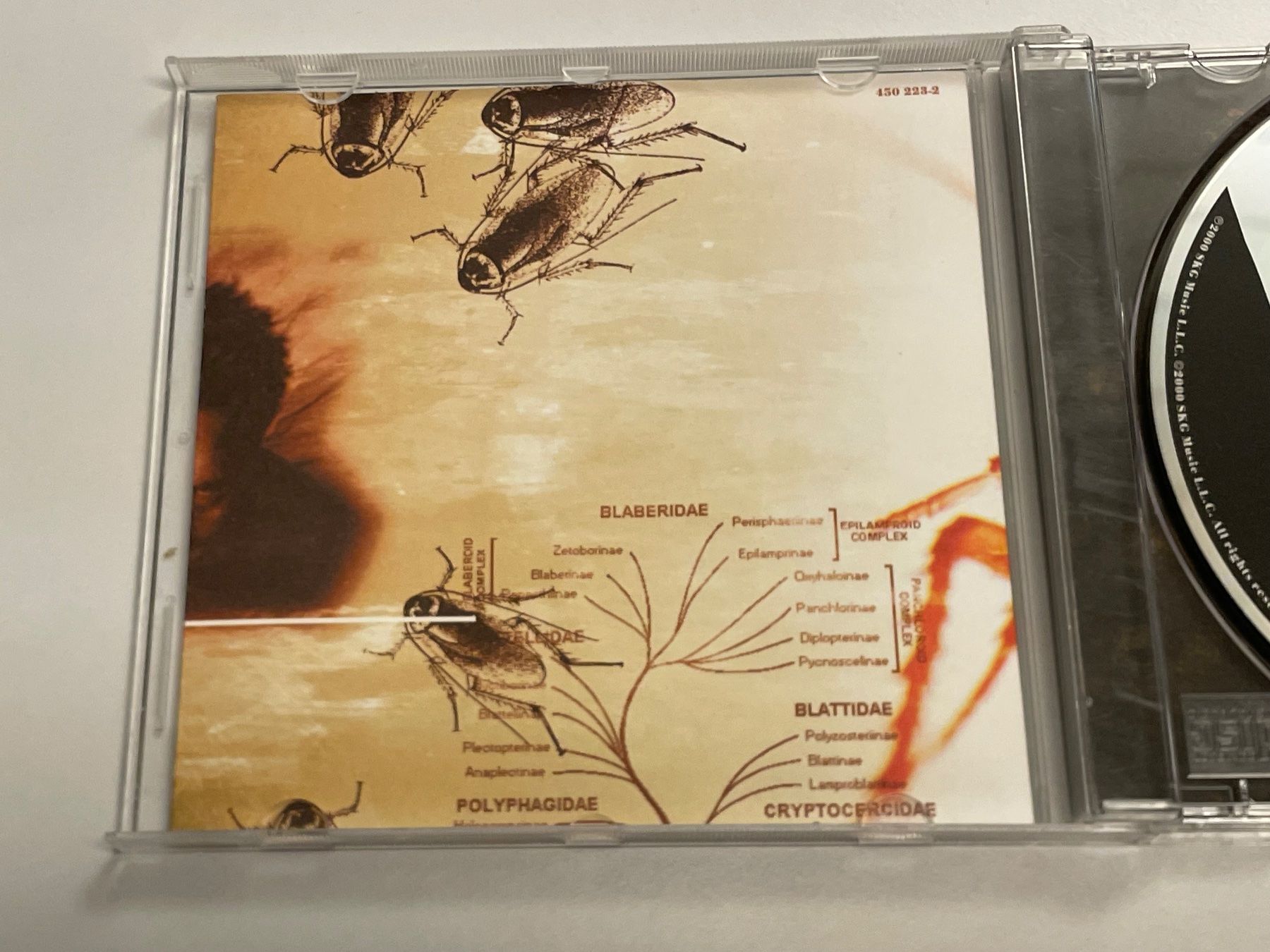 CD: Papa Roach – Usato da Muri b. Bern venduto da AdidasCollector 2