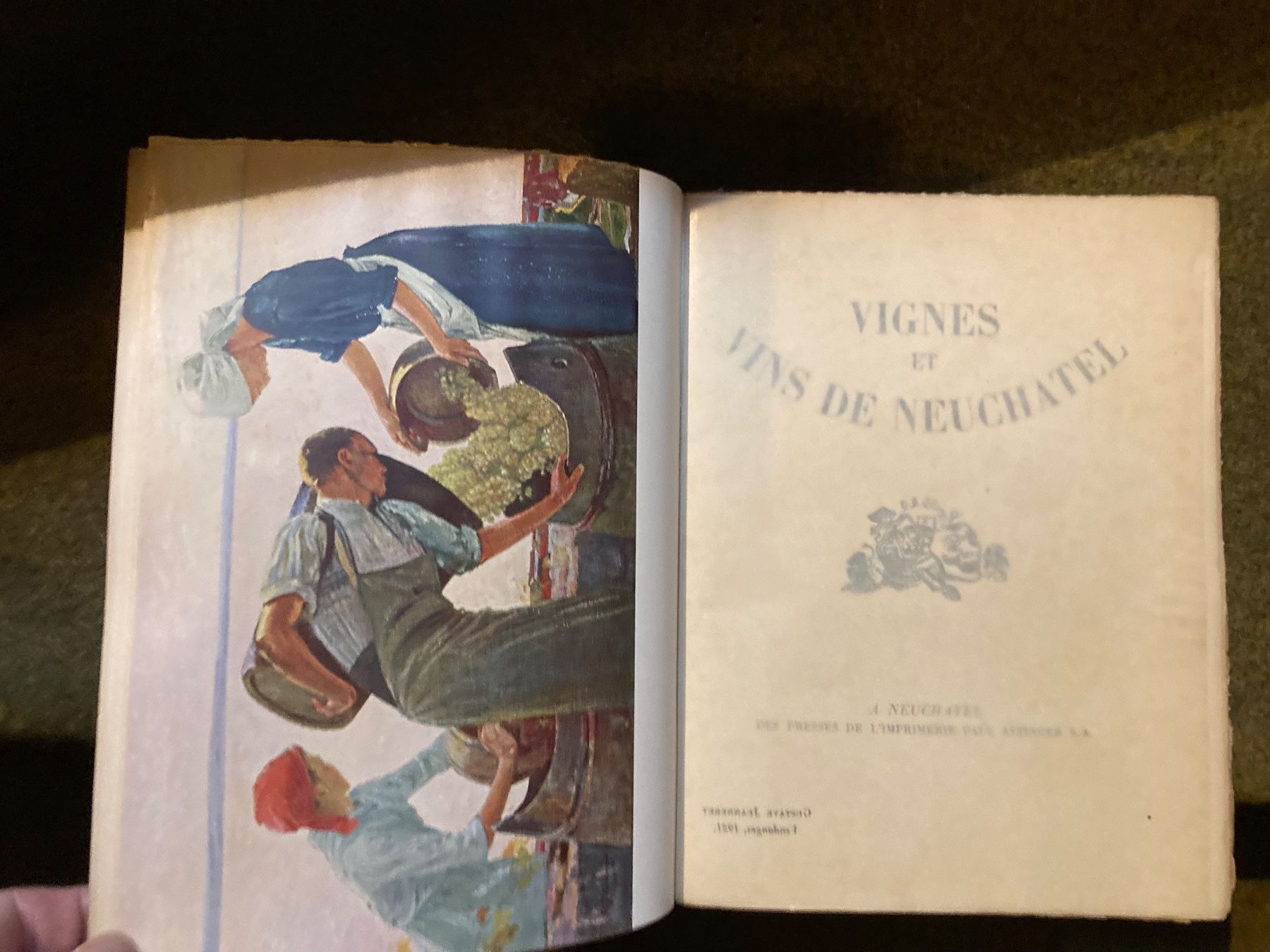 Libri: Vignes et vins de Neuchâtel 1935 – Usato da Adliswil venduto da eku_8mgk 3