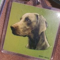 Porte-clés chien dogue avec adresse 4x4 cm
