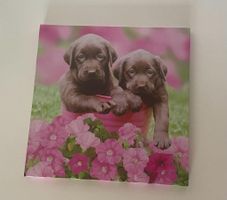 Wandbild Hunde